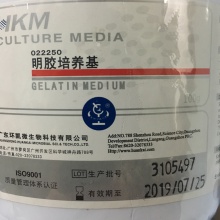 明膠培養基