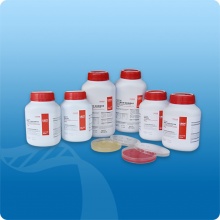 CIN-1培養(yǎng)基配套試劑 2ml*5支/盒