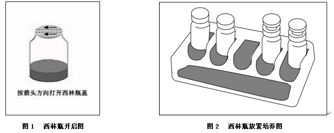 蛋白胨水生化鑒定