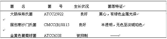 伊紅美藍(lán)瓊脂(EMB)