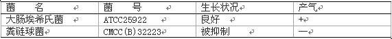 EC肉湯