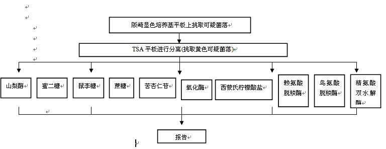 阪崎腸桿菌生化鑒定