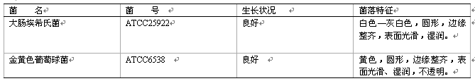 營養肉湯