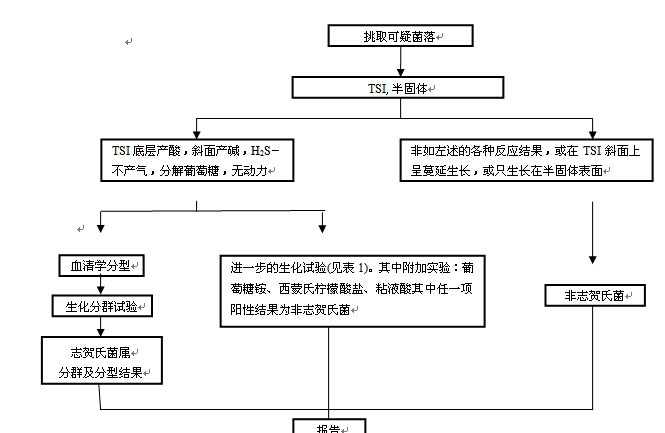 志賀氏菌生化鑒定