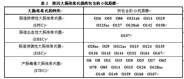 致瀉大腸埃希氏菌生化鑒定