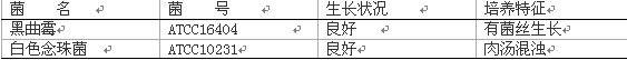 麥芽浸膏湯
